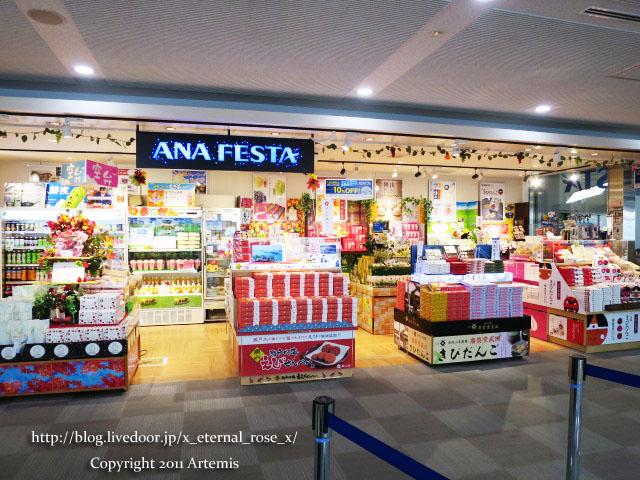 18.11.21.3 岡山桃太郎空港  (2)