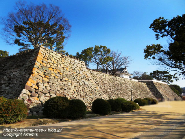 23.1.1.1 岡山城  (21)