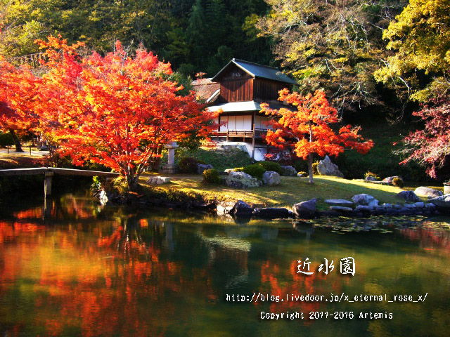 0 近水園  (10)