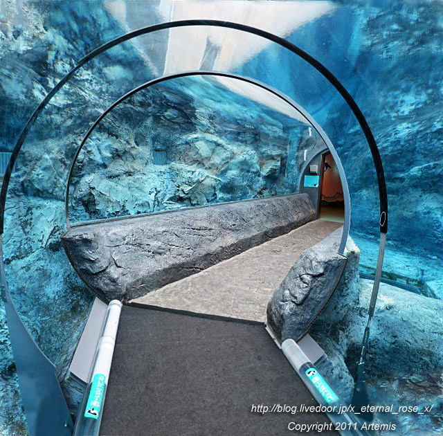 18.11.22.18 旭山動物園  (26)