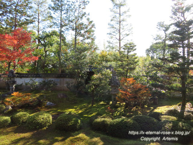 19.11.23.4 大雄院 (34)