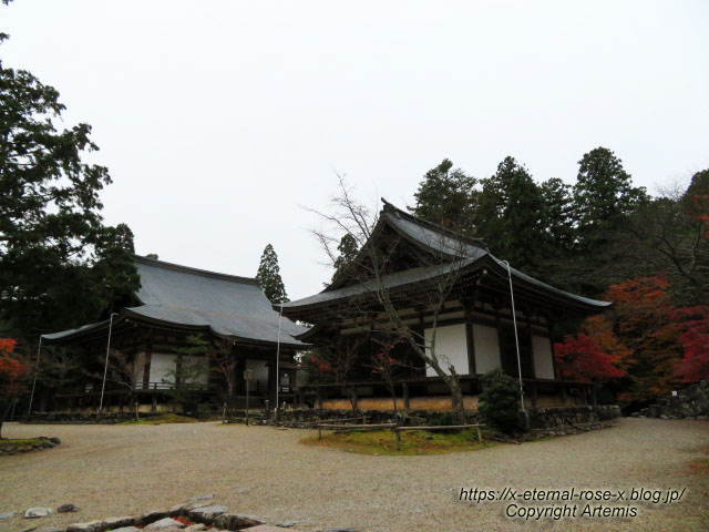 19.11.27 高雄 神護寺 (65)