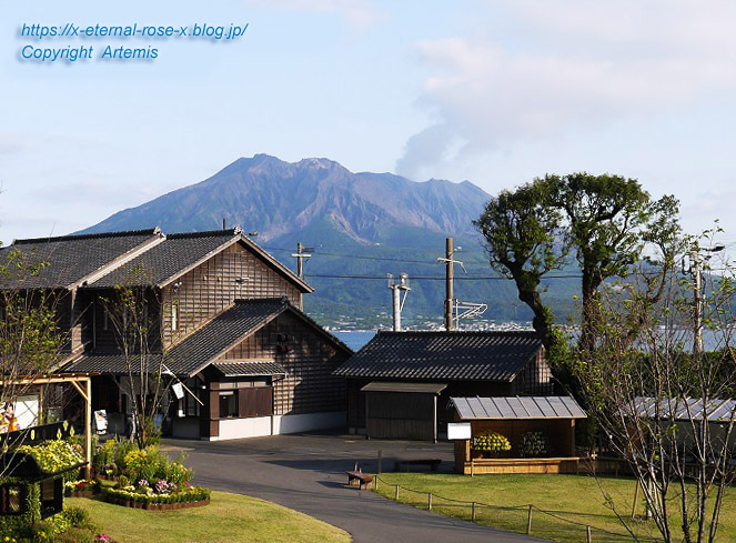20.10.31.13 仙巌園  御殿  (113)