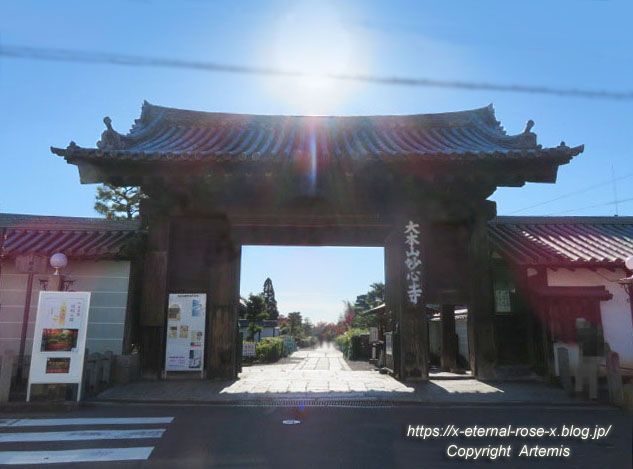 19.11.23.1妙心寺  (1)