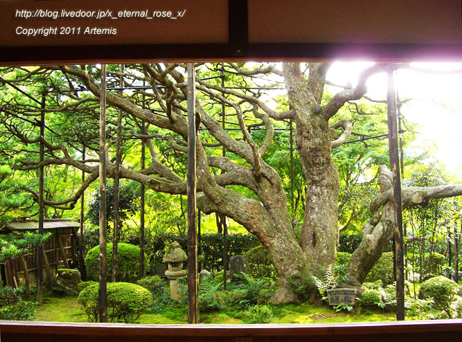 10.10.18.5 宝泉院  (8)