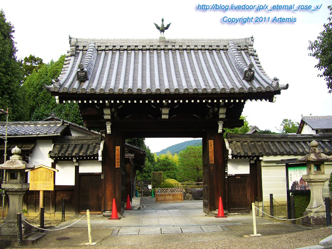 10.10.21.3 泉涌寺 (1)