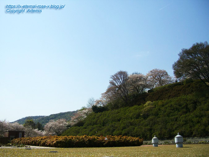 11.4.14.1 半田山植物園  (97)