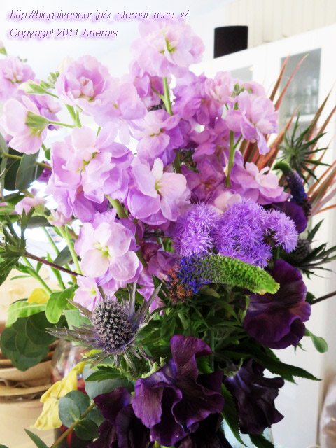 20.2.28 クロワズモン  (13)