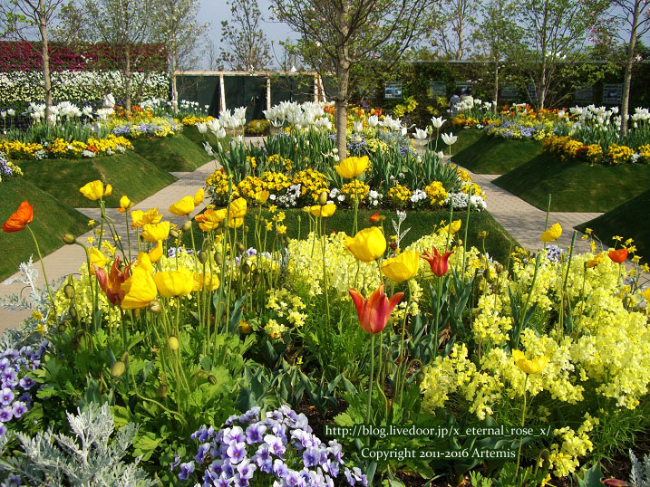 27 おかやま花だより  (47)