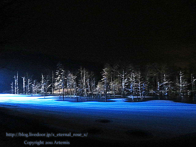 18.11.21.9 青い池  (27)