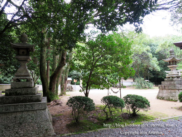 18.9.23.1 窪八幡宮  (14)