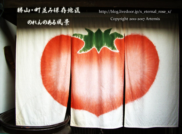 8 勝山 (20)