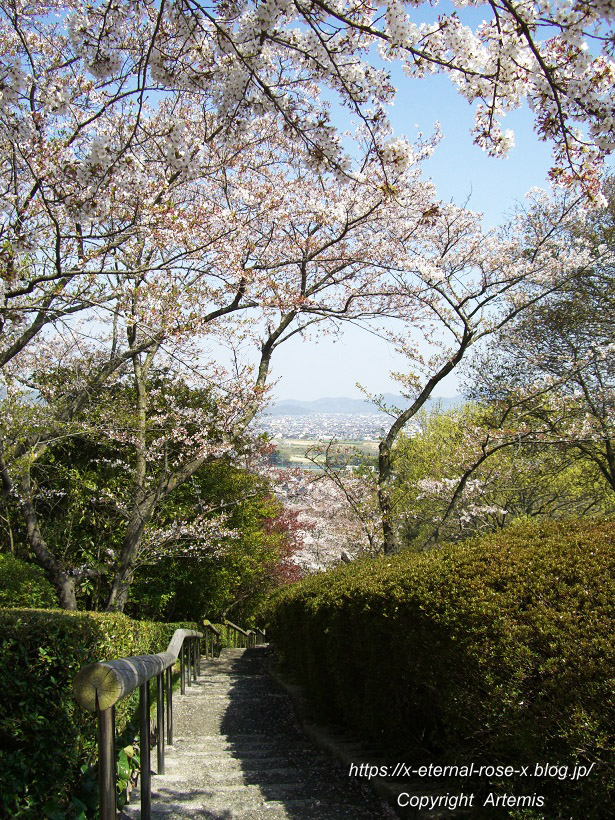 11.4.14.1 半田山植物園  (90)