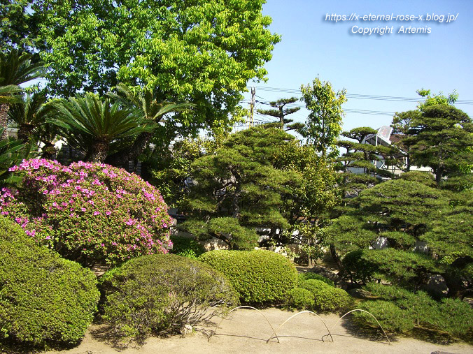 11.5.5.3 旧野﨑家住宅 野﨑家塩業歴史館 (14)
