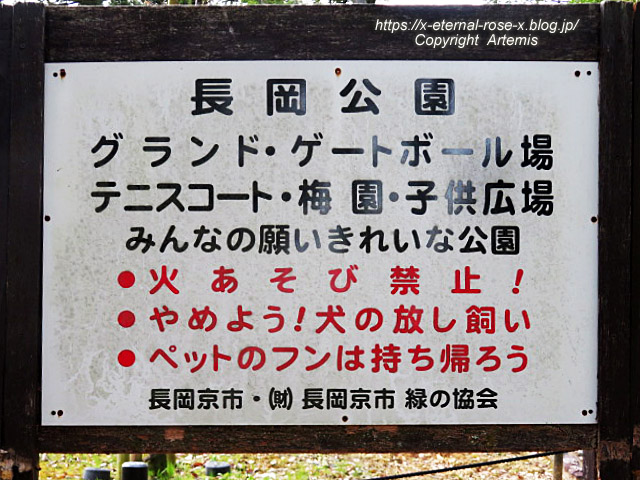 22.3.30.5 長岡公園  (2)
