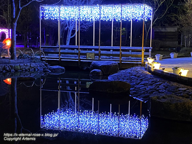 23.2.12.6 西大寺緑花公園.  (35)