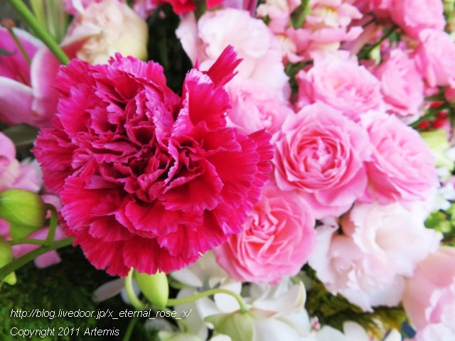 20.1.18.1 岡山はハレの日  (22)