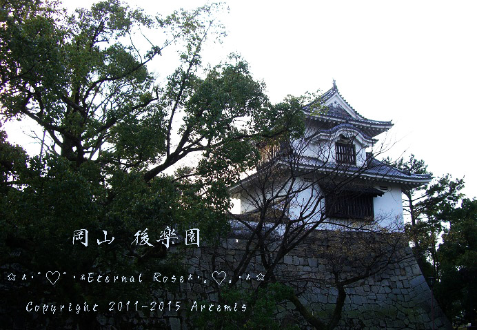 3 岡山城 (7)