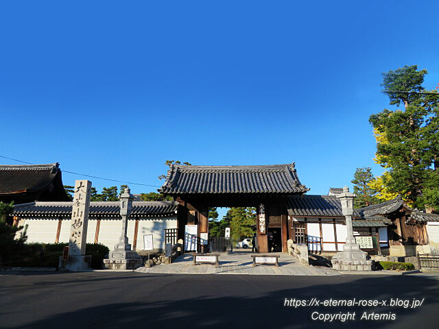 19.11.23.7 妙心寺 退蔵院  (99)