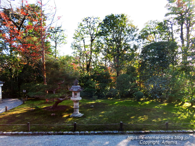 19.11.23.7 妙心寺 退蔵院  (25)
