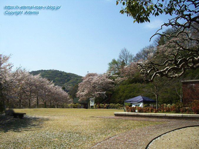 11.4.14.1 半田山植物園  (108)