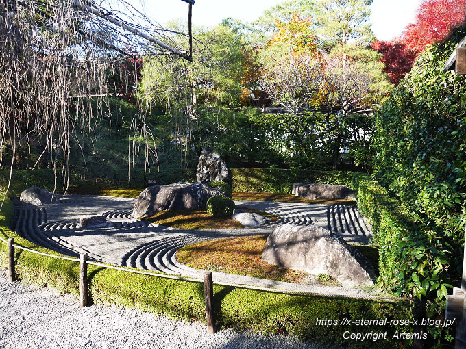 19.11.23.7 妙心寺 退蔵院  (118)