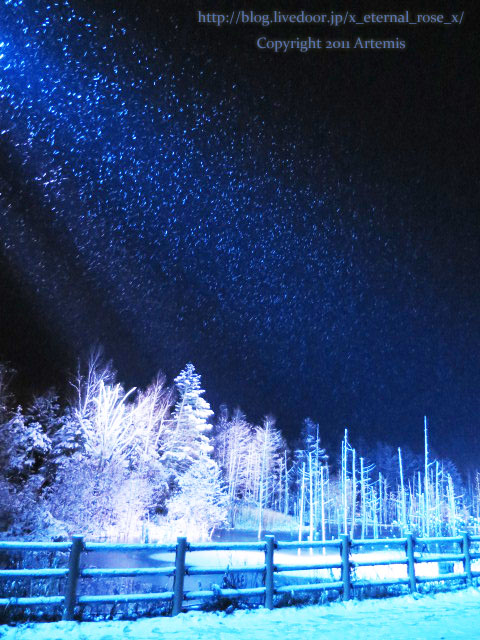 18.11.21.9 青い池  (49)