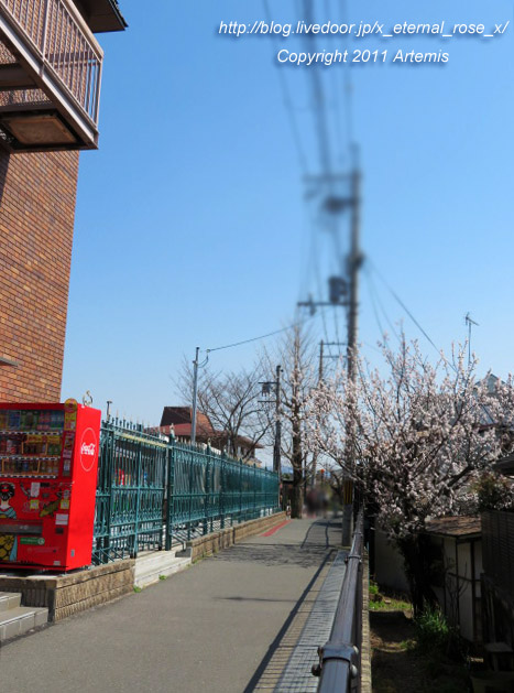 20.3.19.4 京福電鉄嵐山駅 (19)