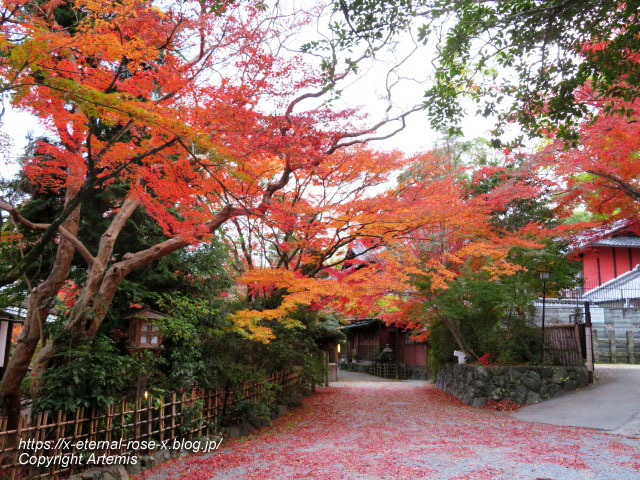 19.11.26.4 長岡天神 (72)