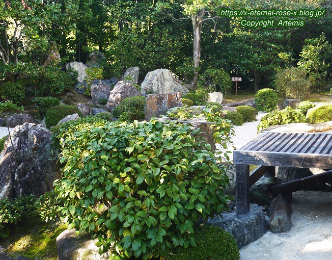 19.11.23.7 妙心寺 退蔵院  (115)