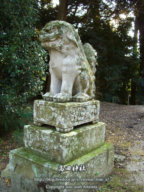5高田神社 (9)