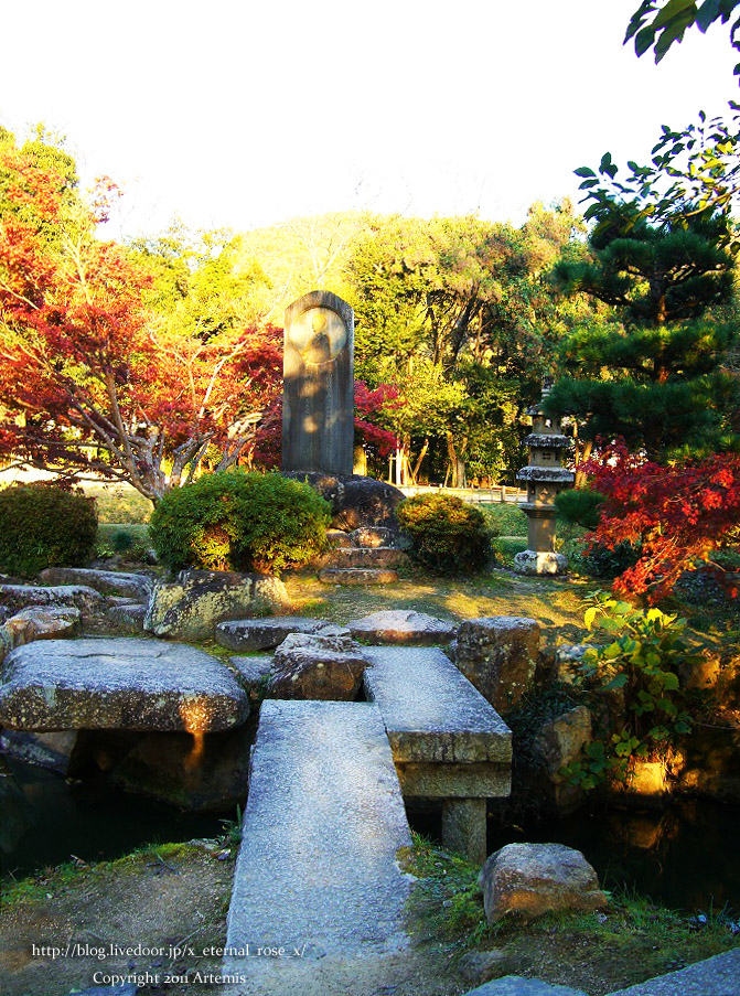 13.11.23.6 近水園  (8)