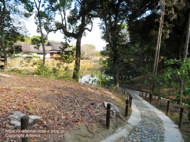 23.1.1.6 岡山後楽園 (12)