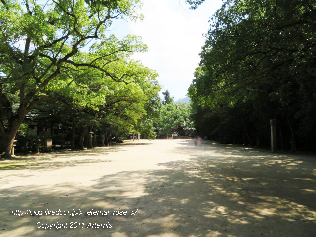 19.9.14.4 伊予國一宮 大山祇神社 (5)