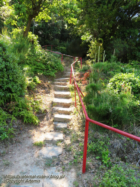 22.5.3.6 玉比咩神社  (41)