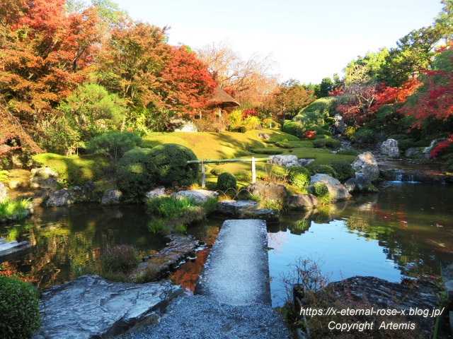 19.11.23.7 妙心寺 退蔵院  (69)