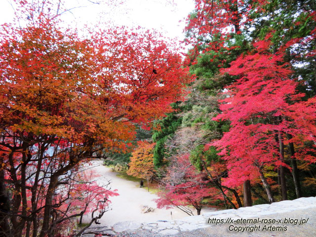 19.11.27 高雄 神護寺  (87)