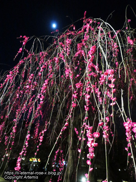 23.3.3. 北野天満宮 (35)