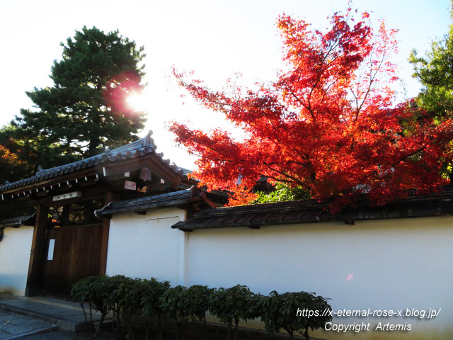19.11.23.5 海福院 微妙殿 (6)