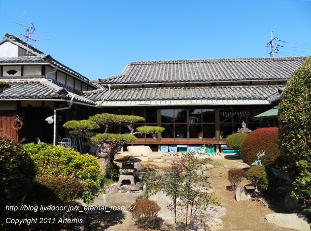 20.2.24.1 nobu  (58)