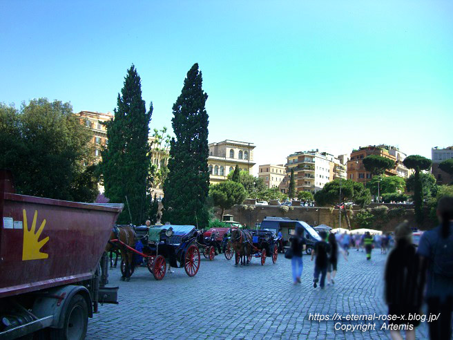 11.5.30.4 コロッセオ  (14)