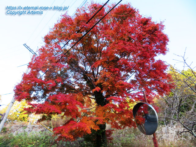 20.11.21.7 吹屋ふるさと村  (72)