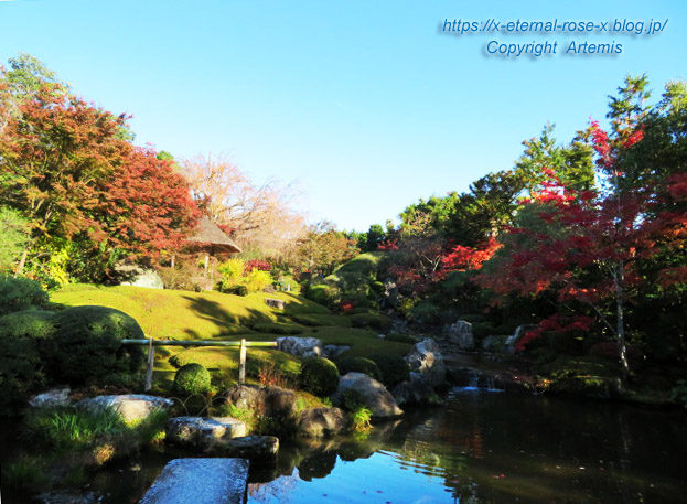 19.11.23.7 妙心寺 退蔵院  (62)