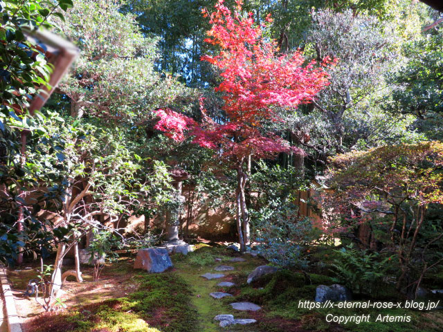 19.11.23.4 大雄院 (27)