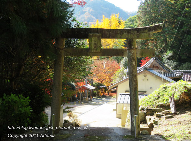 20.11.21.3 備中高梁稲荷神社  (28)