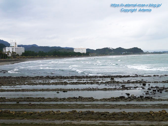 20.11.1.2 青島  (8)