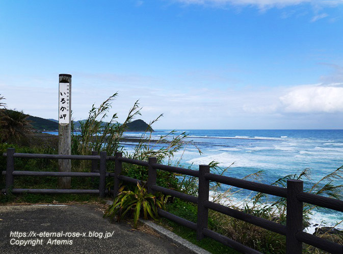 20.11.1.5 いるか岬  (24)