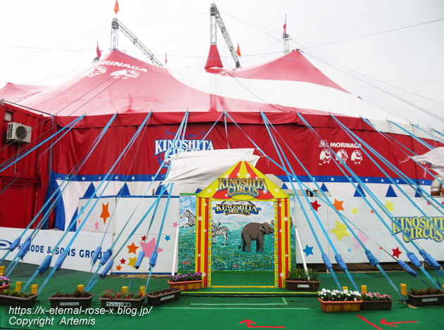 22.7.8 木下サーカス  (8)