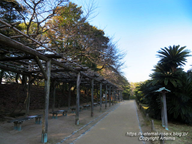 23.1.1 岡山後楽園  (92)