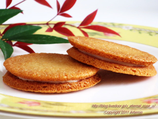 18.11.22.14 旭山動物園 (23)